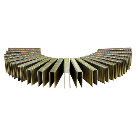 FS-151K 15.5-Gauge 1-1/2" Glue Collated Flooring Staples with 1/2" Crown (1000 Count)